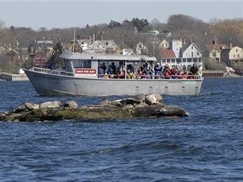 The Spring Seasons Inn Newport Bagian luar foto